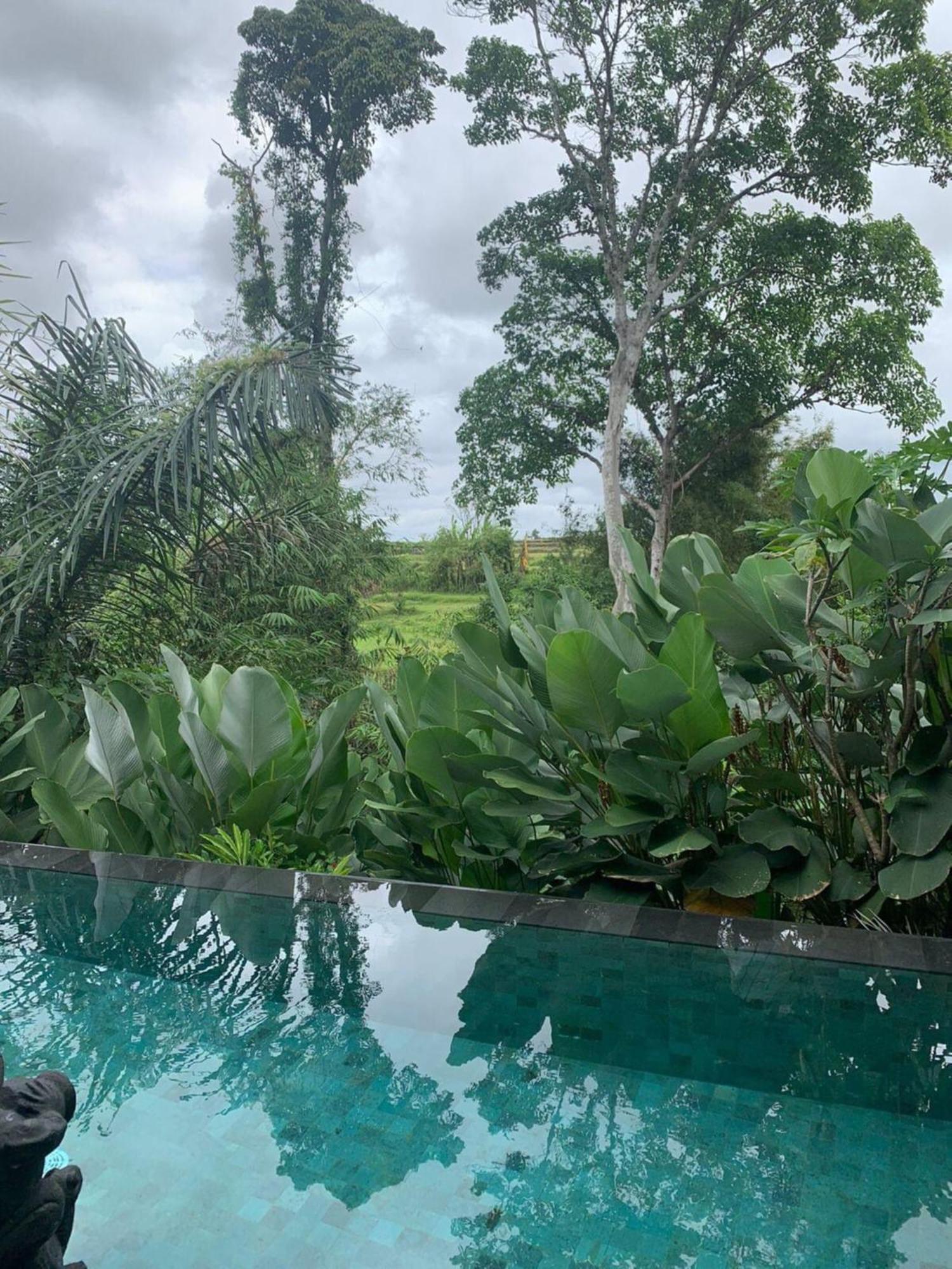 De Cupit * Ubud (Bali)